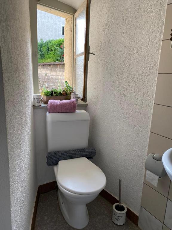 Vivez Un Conte De Fee Dans La Piece Ronde D'Une Tour Medievale Porrentruy Bagian luar foto