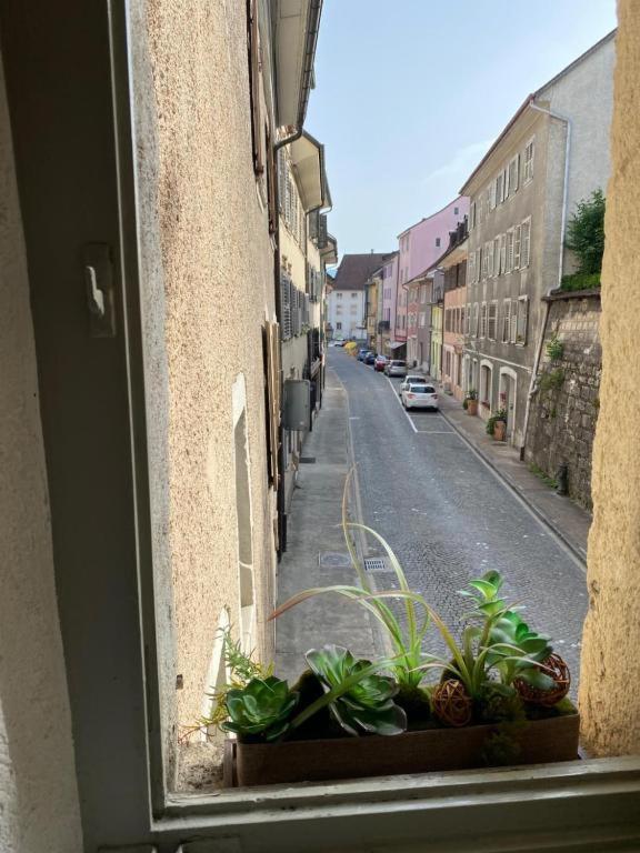 Vivez Un Conte De Fee Dans La Piece Ronde D'Une Tour Medievale Porrentruy Bagian luar foto